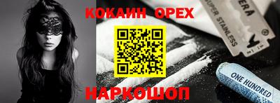 apvp Можга