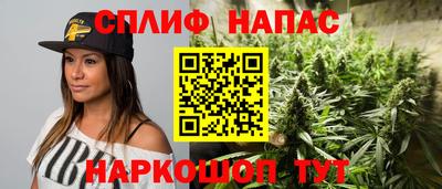 apvp Можга